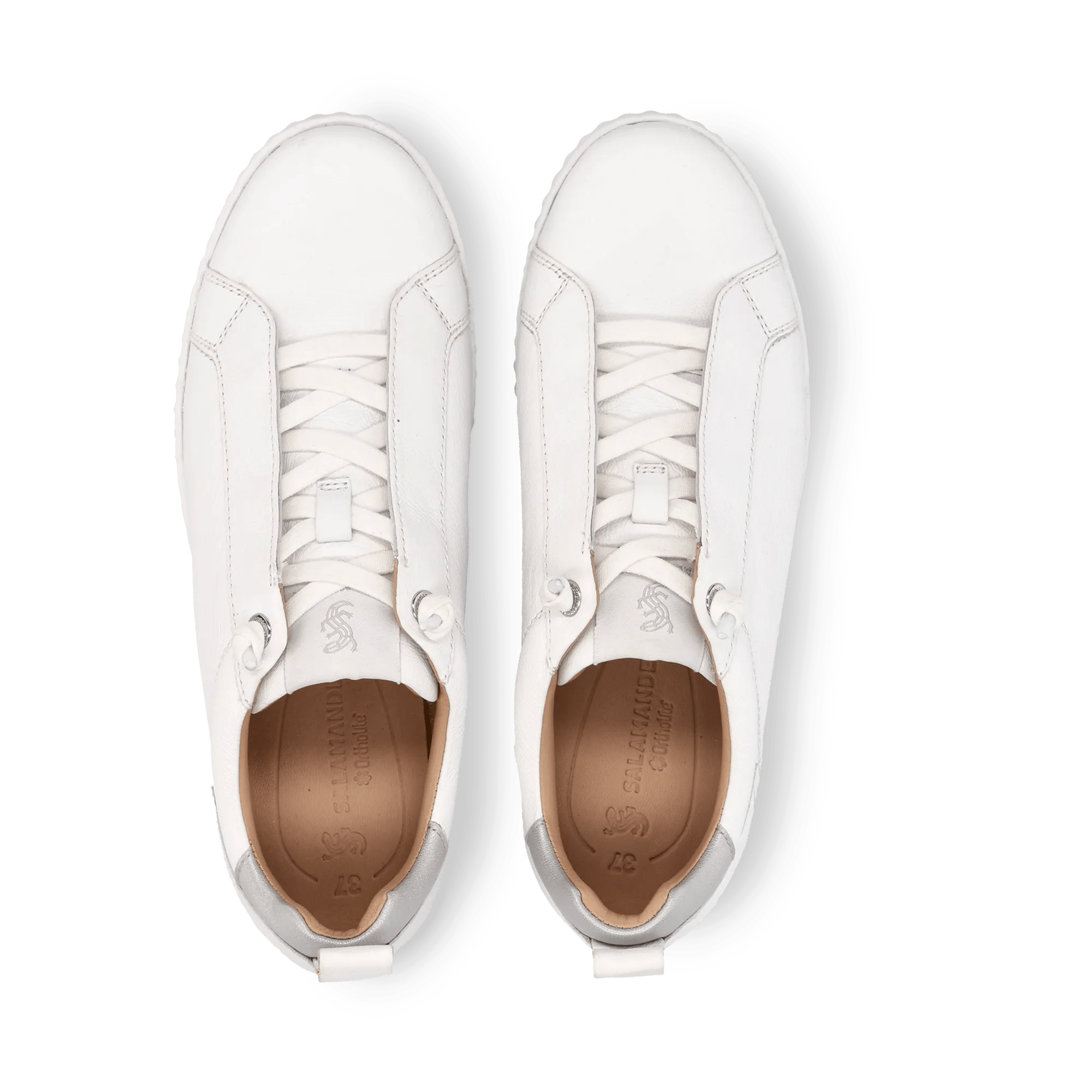 1/21/2026 10:06:33 AM