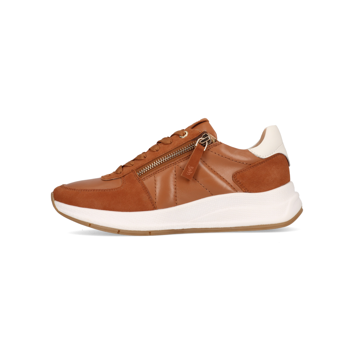 stylish-salamander-women-s-shoes-comfort-design