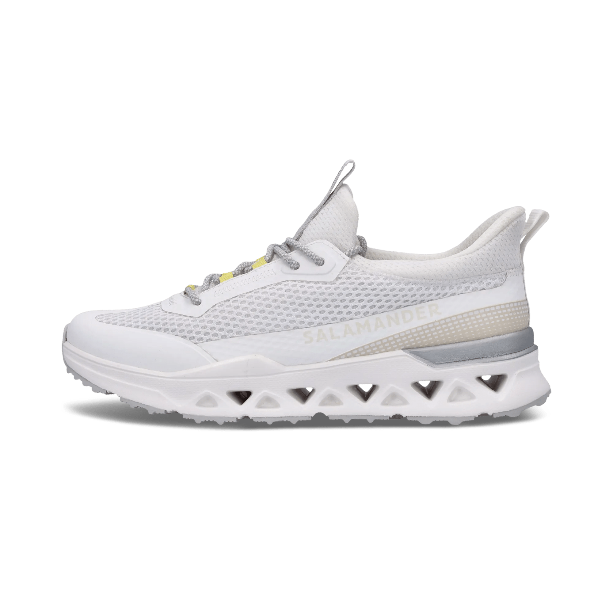 1/21/2026 10:06:35 AM