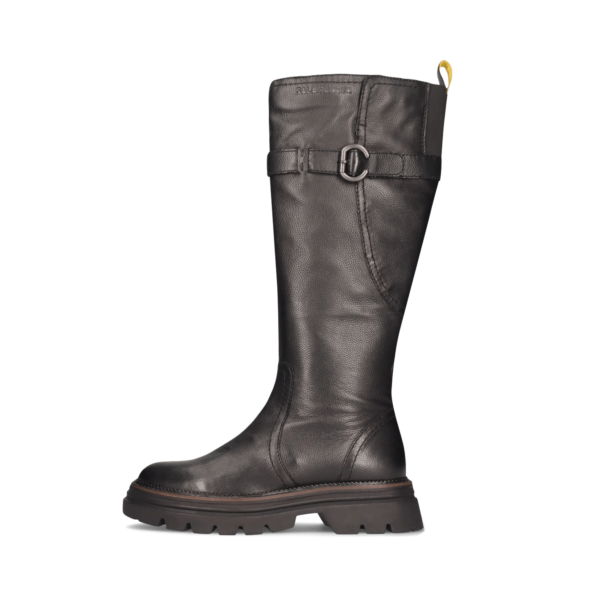 2/25/2026 11:35:47 AM