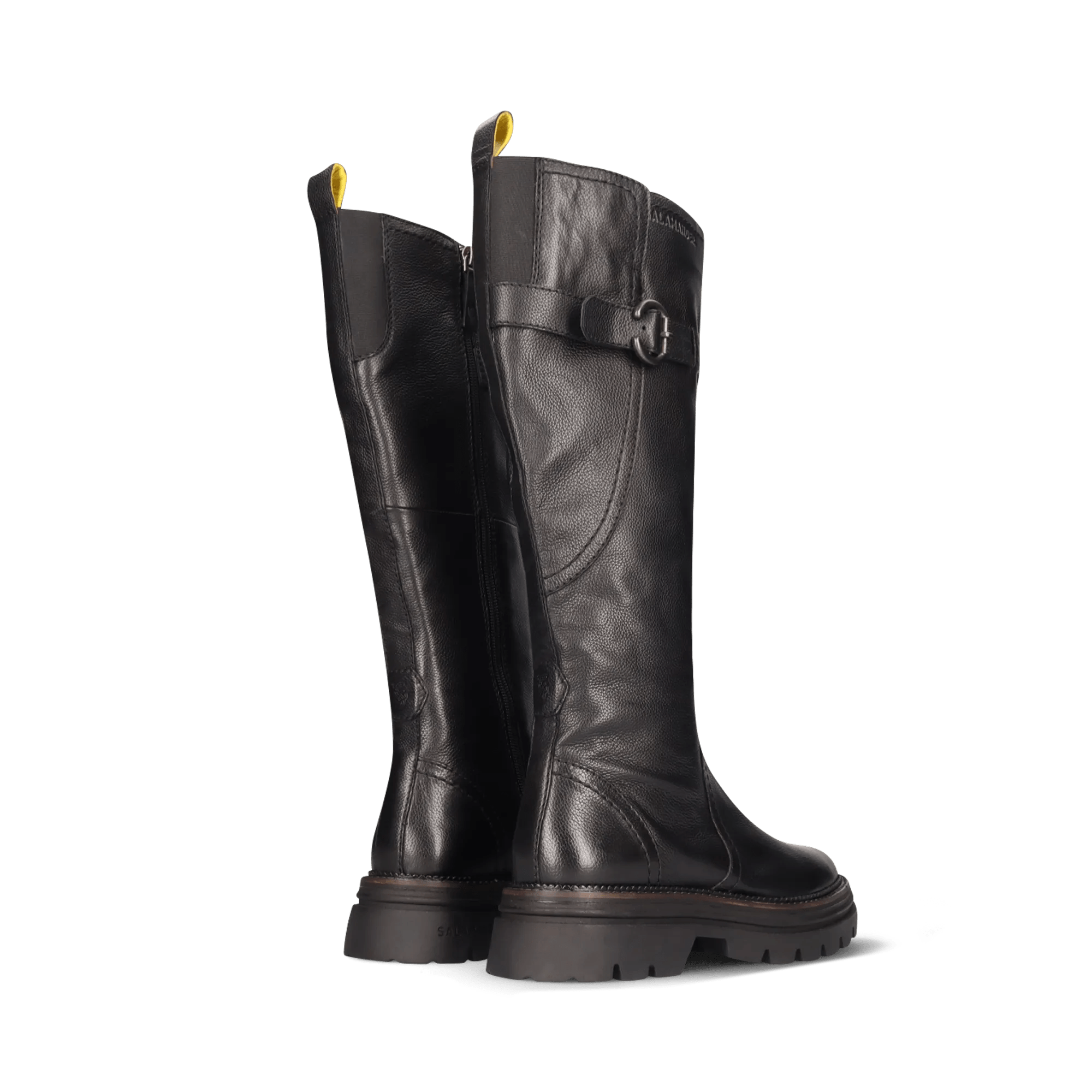 2/25/2026 11:35:47 AM