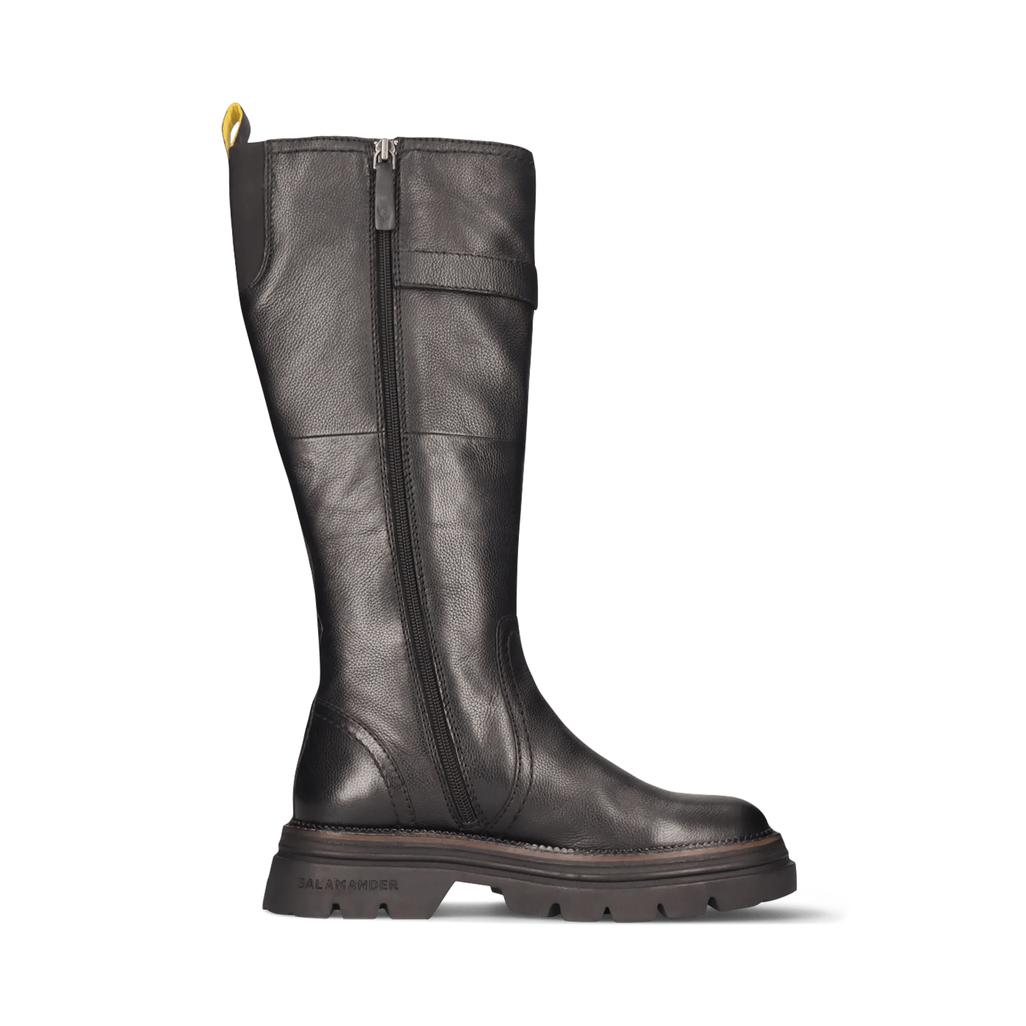 2/25/2026 11:35:47 AM