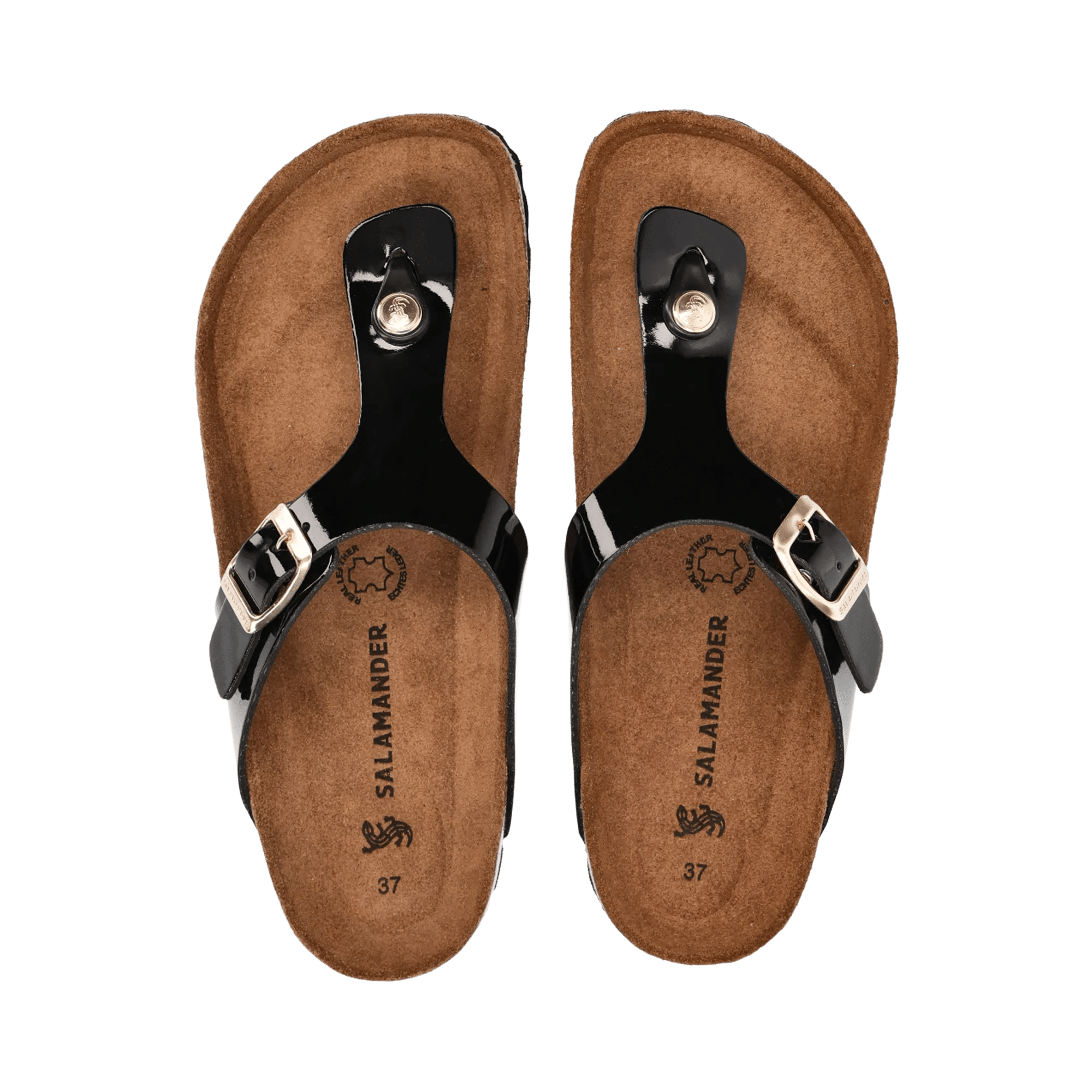 2/25/2026 8:49:41 AM