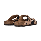 2/25/2026 8:49:41 AM